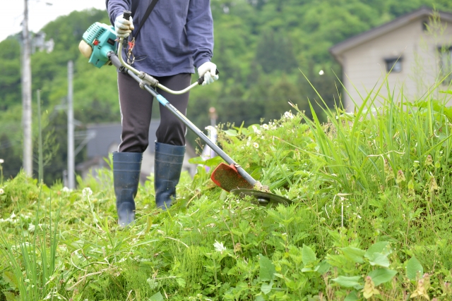 上越市で草刈りに最適な年3回の時期～楽に草刈りを終えるコツまで徹底解説