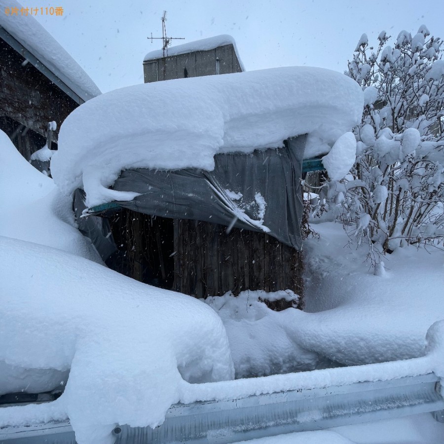 崩壊している10坪くらいの小屋（木製）の解体・回収・処分ご依頼