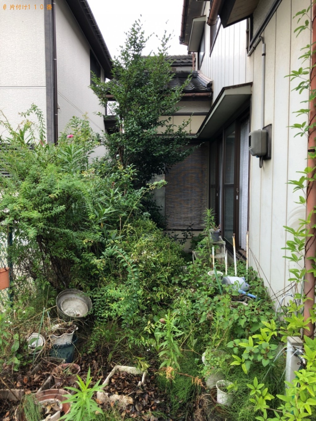 【新潟市】庭木伐採・回収・処分ご依頼　お客様の声