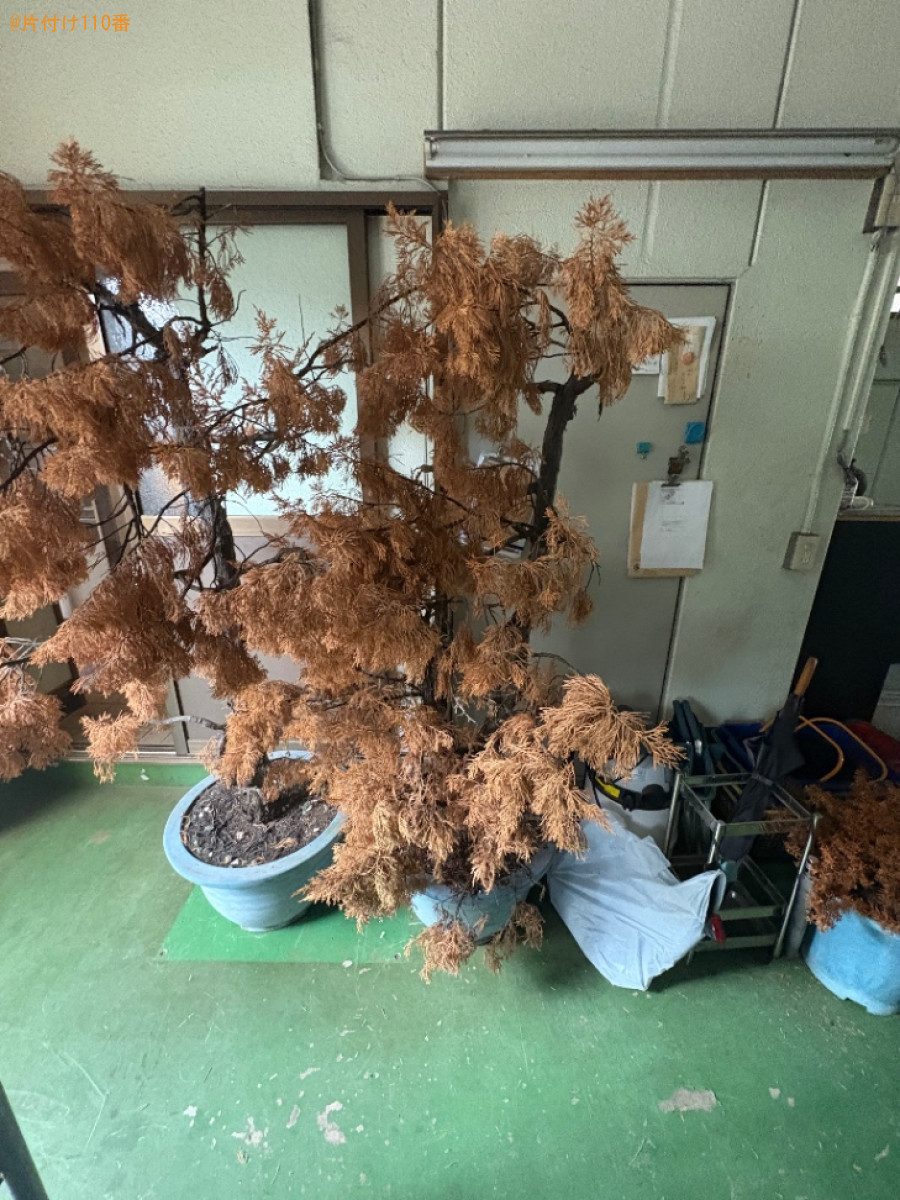 鉢植え、室内にある不用品等の回収・処分ご依頼　お客様の声