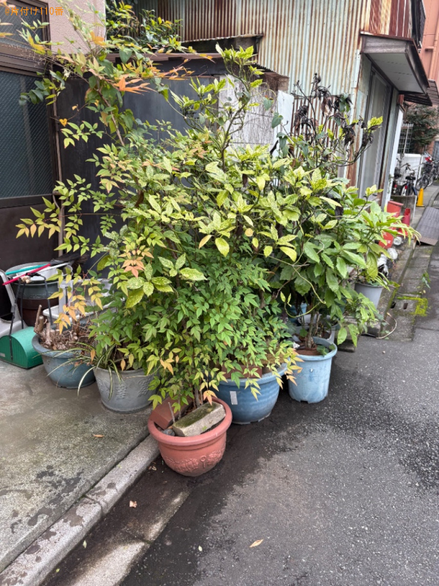 鉢植え、室内にある不用品等の回収・処分ご依頼　お客様の声